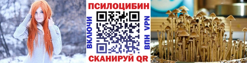 цены   Бабушкин  Галлюциногенные грибы GOLDEN TEACHER 