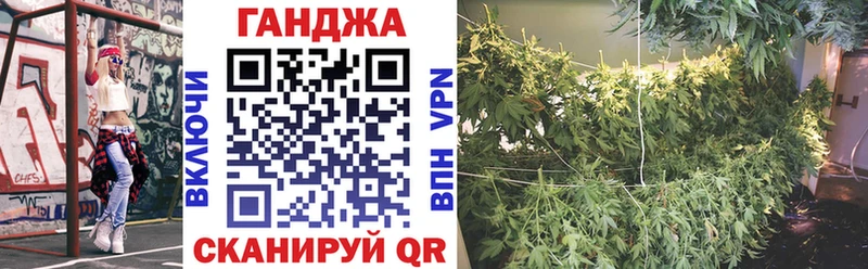 Конопля тримм  KRAKEN tor  Бабушкин  что такое  